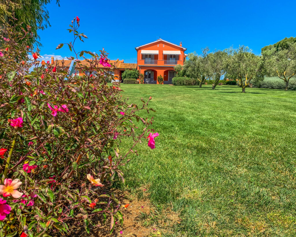 I piani della marina è l'agriturismo della tenuta dei Piani degli alpaca, in provincia di Viterbo.