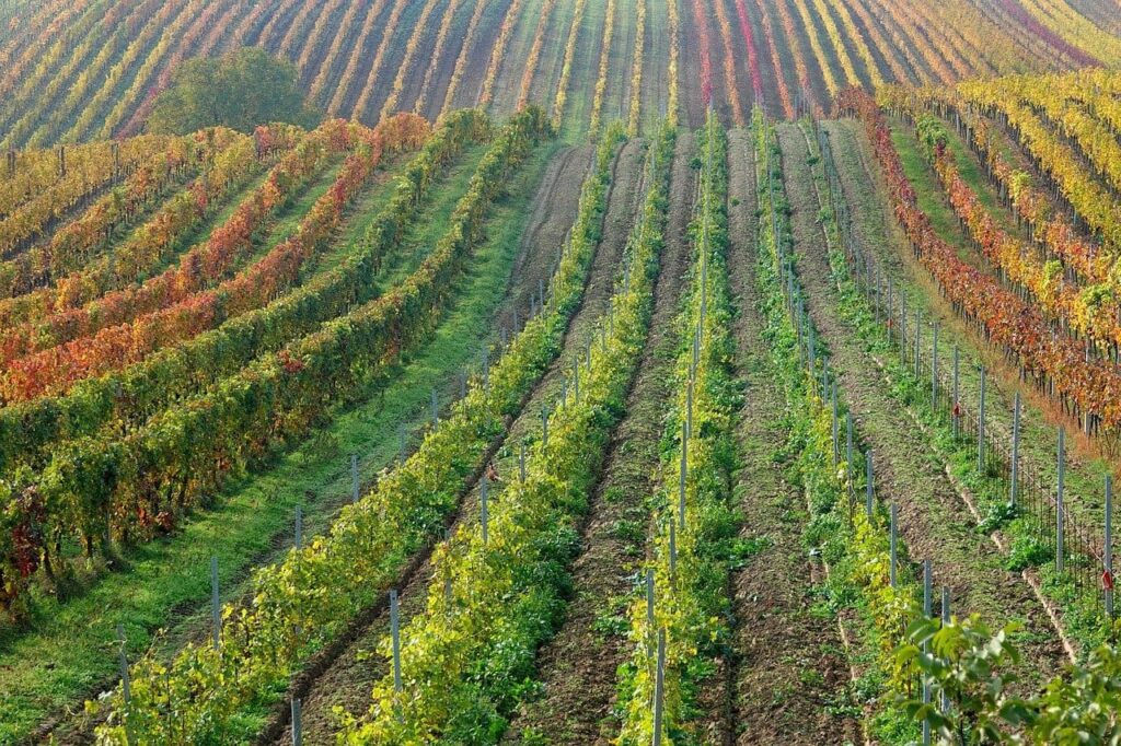 Agosto lontano dal caos Agosto lontano dal caos: 5 angoli segreti d’Italia dove l’estate ritrova la sua magia