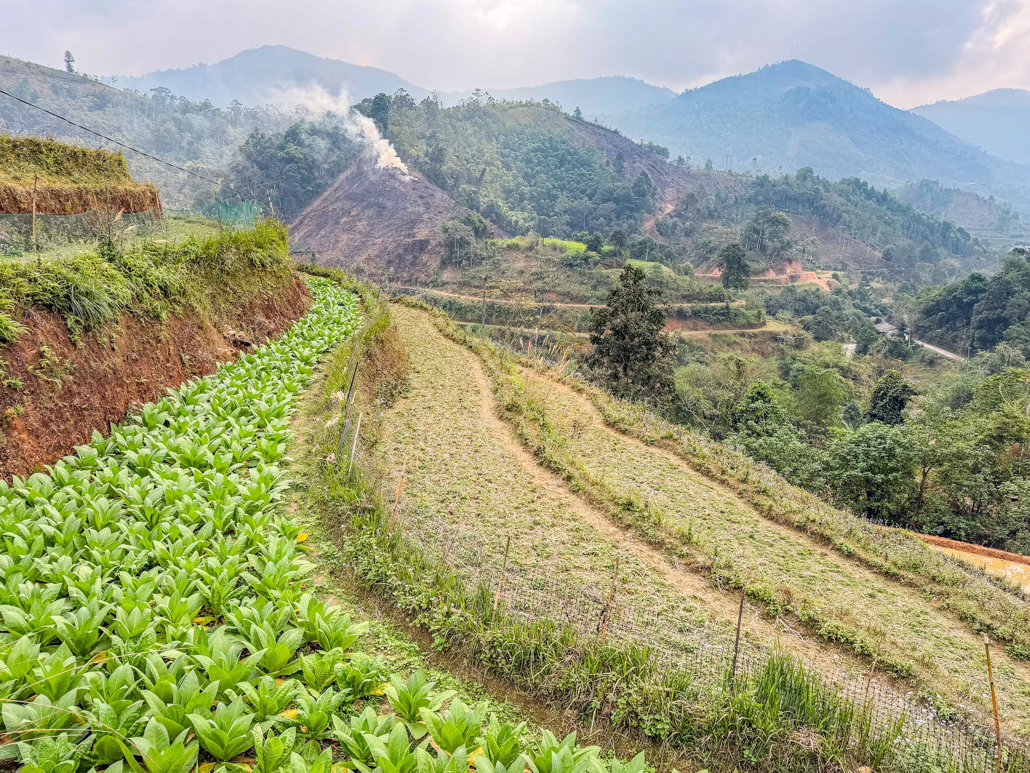 Trekking sulle montagne di Ha Giang, Vietnam Trekking sulle montagne di Ha Giang, Vietnam