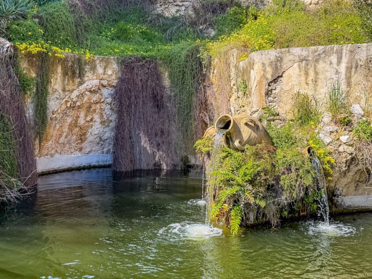 L'Orto Botanico di Cagliari. Guida alla visita.