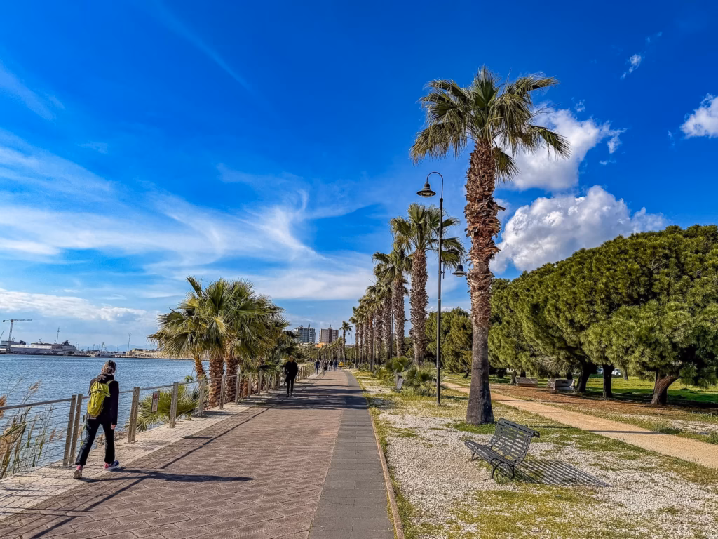 Cosa vedere a Cagliari in un giorno. Itinerario completo. Cosa vedere a Cagliari in un giorno. Itinerario completo.