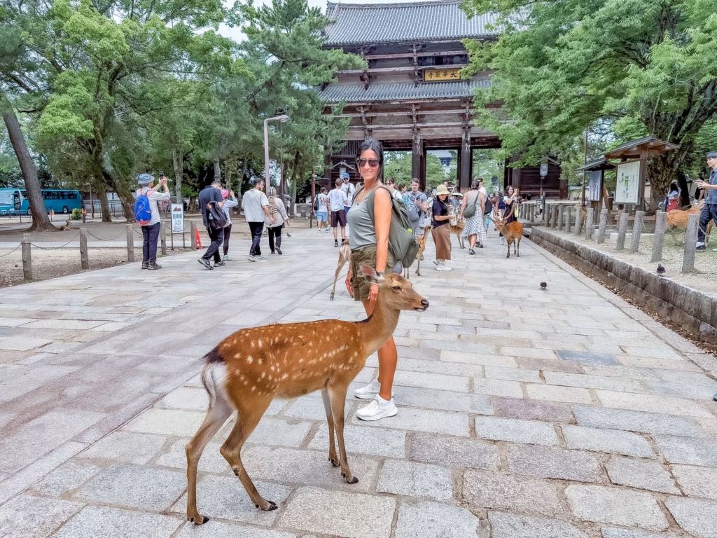 Nara, i cervi e il Buddha gigante. Guida completa per visitare l'antica capitale del Giappone in un giorno Nara, i cervi e il Buddha gigante. Guida completa per visitare l'antica capitale del Giappone in un giorno