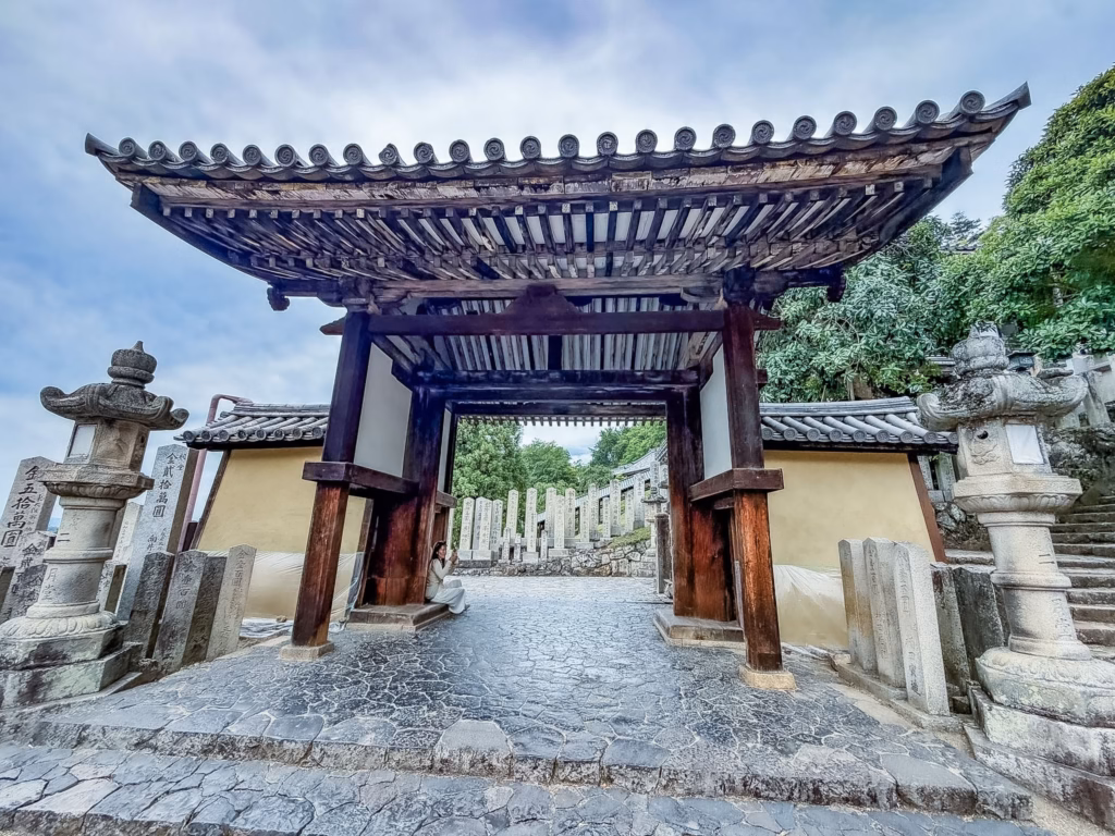 Nara, i cervi e il Buddha gigante. Guida completa per visitare l'antica capitale del Giappone in un giorno Nara, i cervi e il Buddha gigante. Guida completa per visitare l'antica capitale del Giappone in un giorno