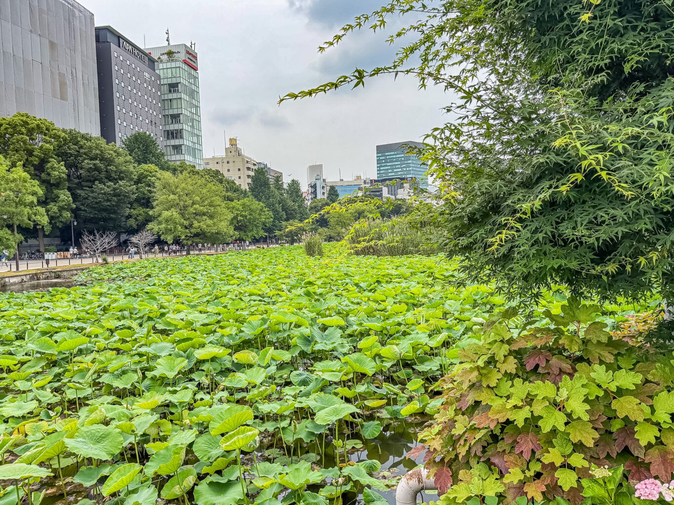 Tempio Toshogu Shrine a Ueno, Tokyo. Cosa vedere, storia e guida alla visita Tempio Toshogu Shrine a Ueno, Tokyo. Cosa vedere, storia e guida alla visita