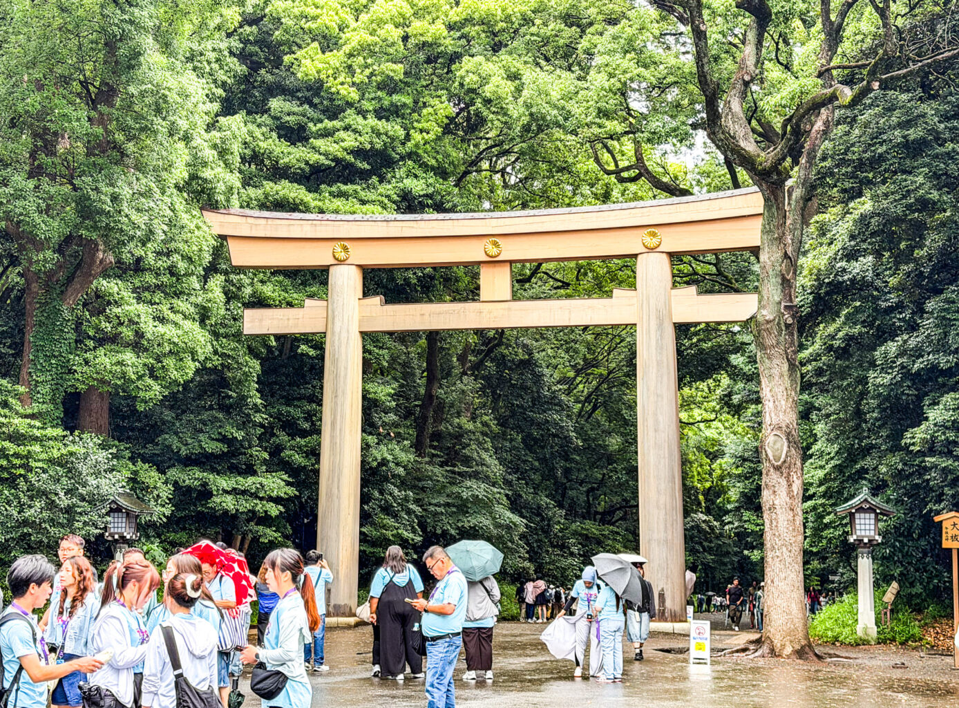 Tempio Meiji Jingu a Shibuya, Tokyo. Guida alla visita, storia, cosa vedere e curiosità Tempio Meiji Jingu a Shibuya, Tokyo. Guida alla visita, storia, cosa vedere e curiosità