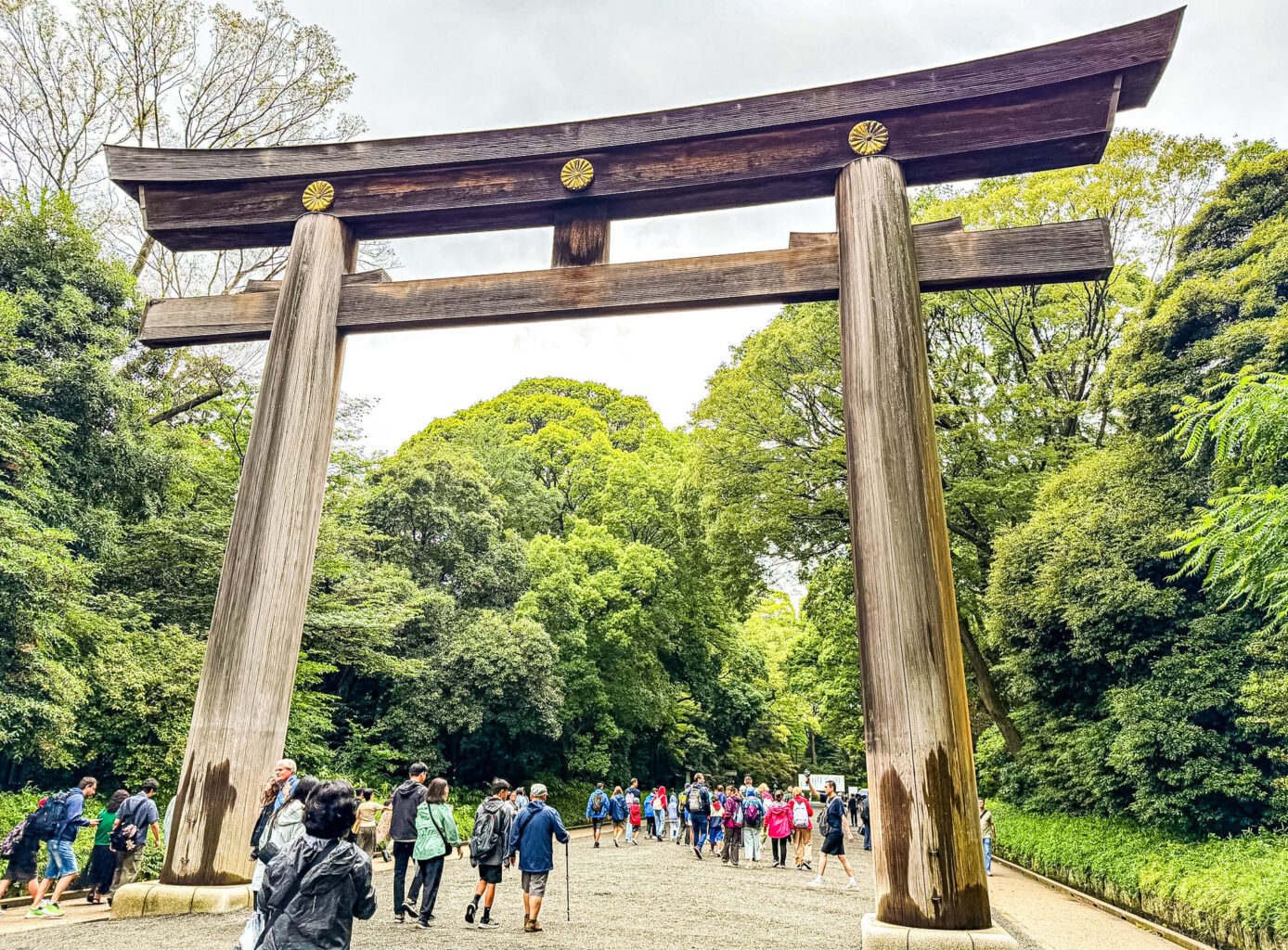 Tempio Meiji Jingu a Shibuya, Tokyo. Guida alla visita, storia, cosa vedere e curiosità Tempio Meiji Jingu a Shibuya, Tokyo. Guida alla visita, storia, cosa vedere e curiosità