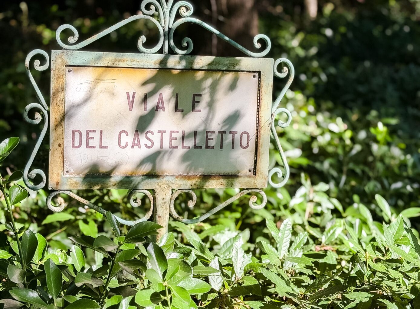 Castello di Miramare a Trieste. Percorso, giardini, stanze, biglietti e come arrivare Castello di Miramare a Trieste. Percorso, giardini, stanze, biglietti e come arrivare