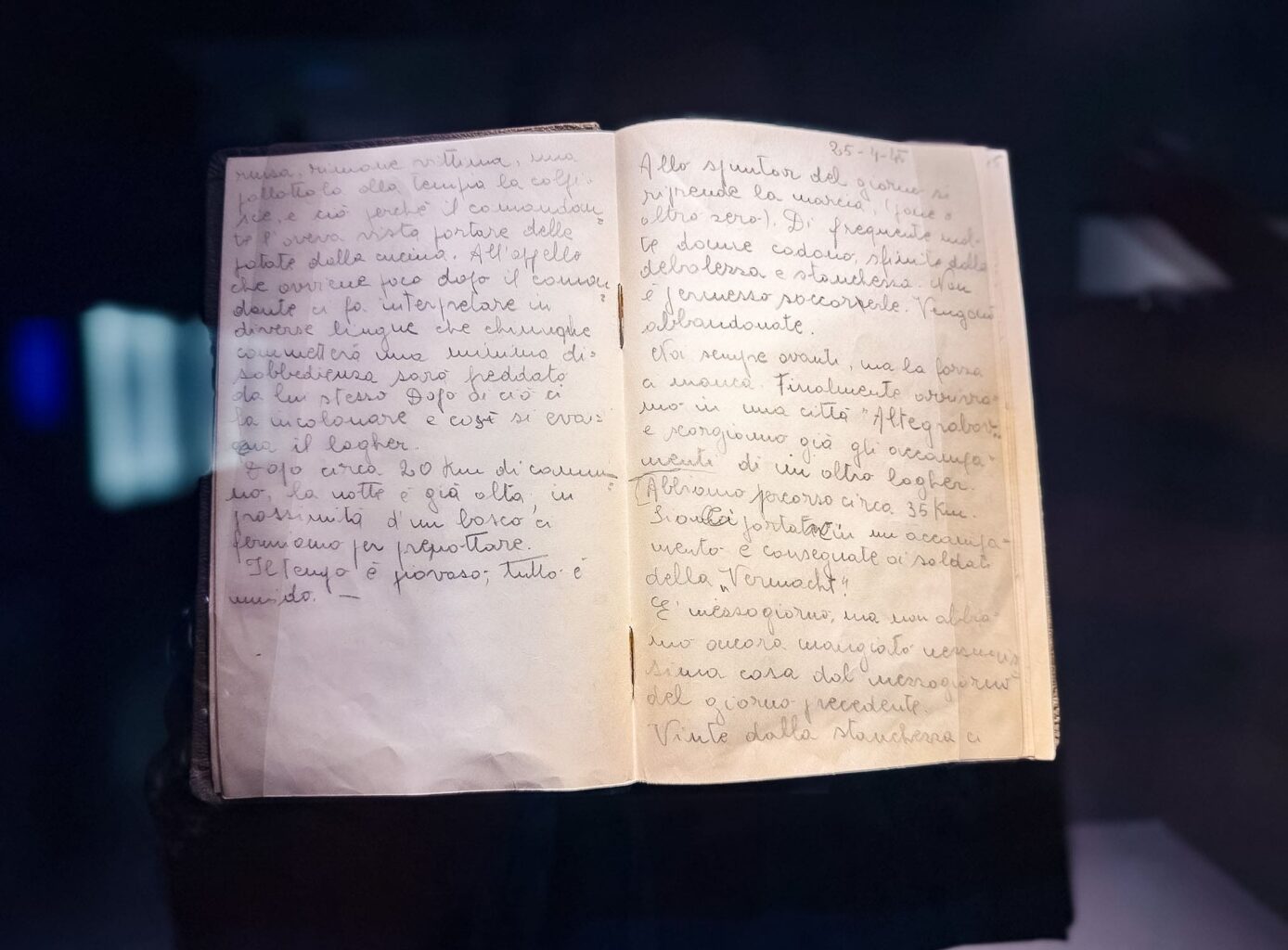 Risiera di San Sabba. La storia del lager nazista di Trieste Risiera di San Sabba. La storia del lager nazista di Trieste